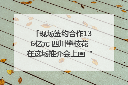 现场签约合作136亿元 四川攀枝花在这场推介会上画“图谱”列“清单”