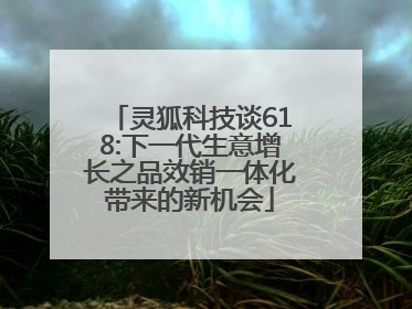灵狐科技谈618:下一代生意增长之品效销一体化带来的新机会