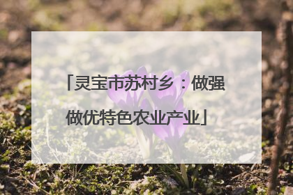 灵宝市苏村乡：做强做优特色农业产业
