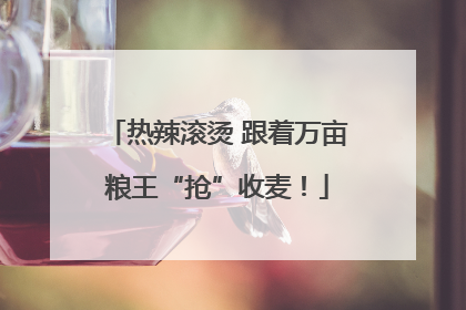 热辣滚烫 跟着万亩粮王“抢”收麦！