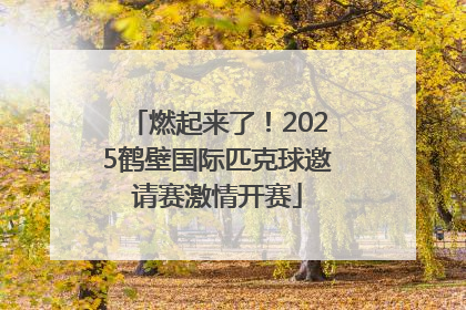 燃起来了！2025鹤壁国际匹克球邀请赛激情开赛