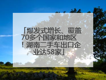 爆发式增长、覆盖70多个国家和地区！湖南二手车出口企业达58家