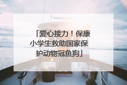 爱心接力！保康小学生救助国家保护动物冠鱼狗