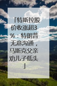 特斯拉股价收涨超3%：特朗普无意沟通，马斯克父亲劝儿子低头