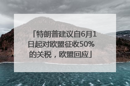 特朗普建议自6月1日起对欧盟征收50%的关税，欧盟回应