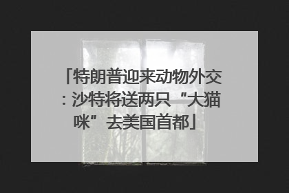 特朗普迎来动物外交：沙特将送两只“大猫咪”去美国首都