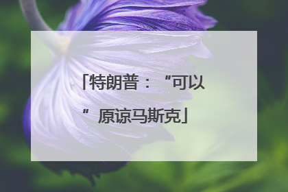 特朗普：“可以”原谅马斯克