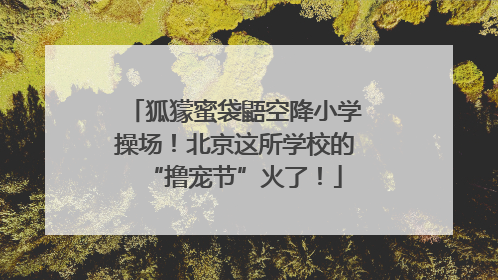 狐獴蜜袋鼯空降小学操场！北京这所学校的“撸宠节”火了！