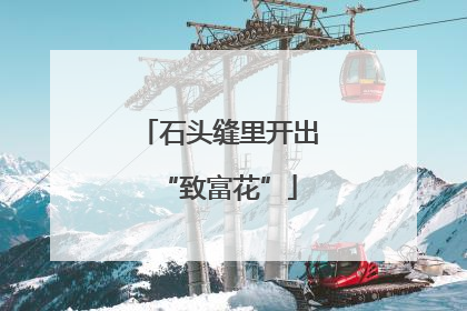 石头缝里开出“致富花”
