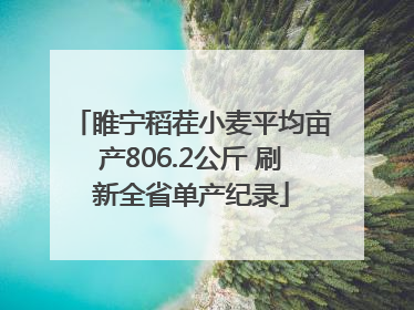 睢宁稻茬小麦平均亩产806.2公斤 刷新全省单产纪录