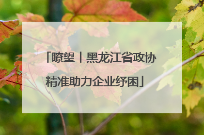 瞭望丨黑龙江省政协精准助力企业纾困