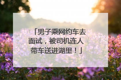 男子乘网约车去面试，被司机连人带车送进湖里！