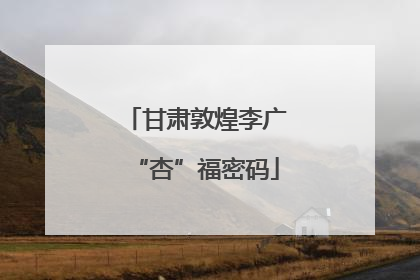甘肃敦煌李广“杏”福密码