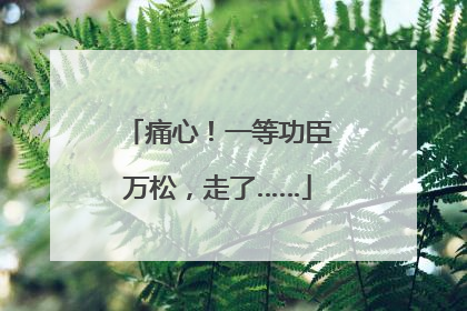 痛心！一等功臣万松，走了……