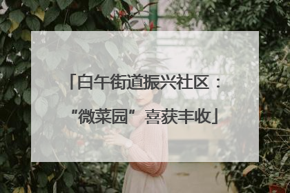 白午街道振兴社区：“微菜园”喜获丰收
