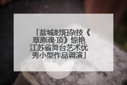 盐城射阳杂技《草原魂·顶》惊艳江苏省舞台艺术优秀小型作品调演