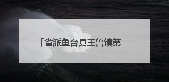 省派鱼台县王鲁镇第一书记护航“三夏”生产