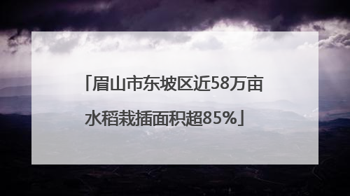 眉山市东坡区近58万亩水稻栽插面积超85%