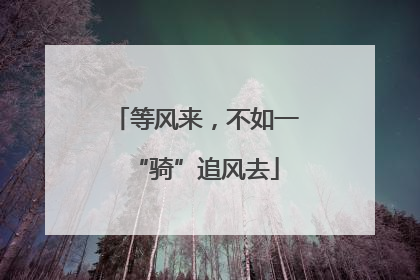 等风来，不如一“骑”追风去