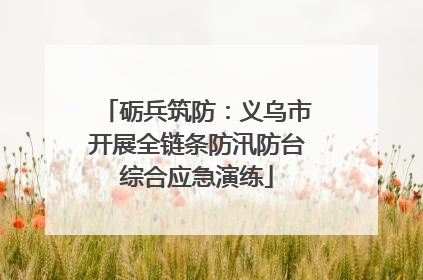 砺兵筑防：义乌市开展全链条防汛防台综合应急演练