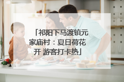 祁阳下马渡镇元家庙村：夏日荷花开 游客打卡热