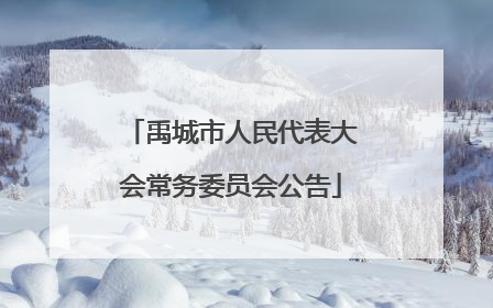 禹城市人民代表大会常务委员会公告