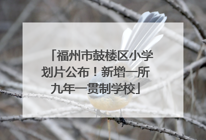 福州市鼓楼区小学划片公布！新增一所九年一贯制学校
