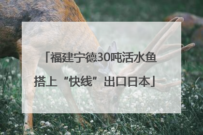 福建宁德30吨活水鱼搭上“快线”出口日本