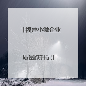 福建小微企业质量跃升记