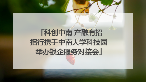 科创中南 产融有招 招行携手中南大学科技园举办银企服务对接会