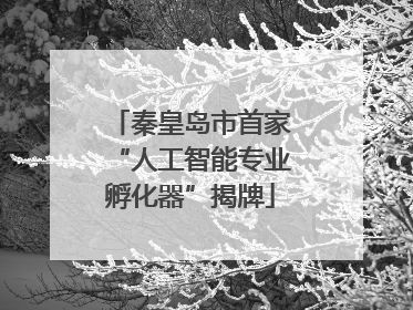 秦皇岛市首家“人工智能专业孵化器”揭牌