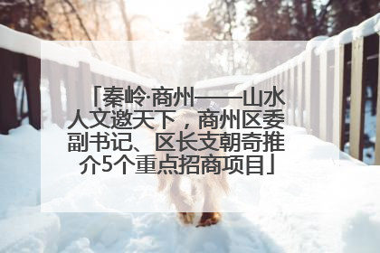 秦岭·商州——山水人文邀天下，商州区委副书记、区长支朝奇推介5个重点招商项目