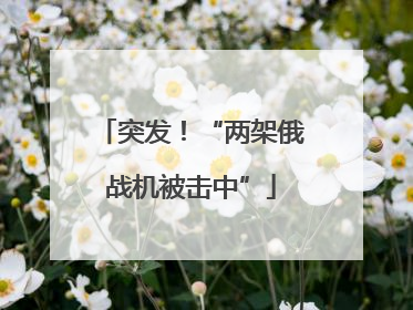 突发！“两架俄战机被击中”