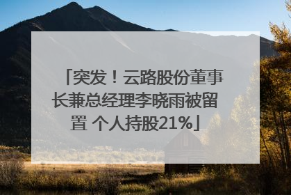 突发！云路股份董事长兼总经理李晓雨被留置 个人持股21%