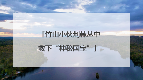 竹山小伙荆棘丛中救下“神秘国宝”