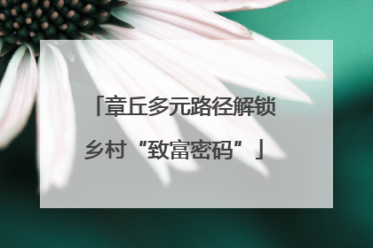 章丘多元路径解锁乡村“致富密码”