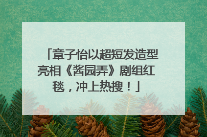 章子怡以超短发造型亮相《酱园弄》剧组红毯，冲上热搜！