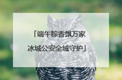 端午粽香飘万家 冰城公安全域守护