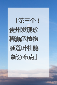 第三个！贵州发现珍稀濒危植物睡莲叶杜鹃新分布点