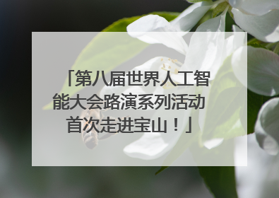 第八届世界人工智能大会路演系列活动首次走进宝山！