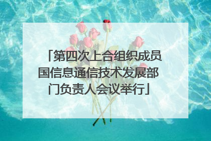 第四次上合组织成员国信息通信技术发展部门负责人会议举行
