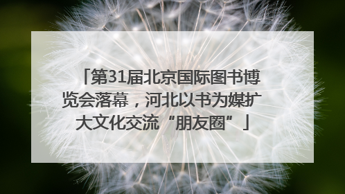 第31届北京国际图书博览会落幕，河北以书为媒扩大文化交流“朋友圈”