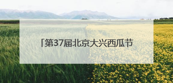 第37届北京大兴西瓜节盛大启幕 “以瓜为媒”激活产业融合发展新动能
