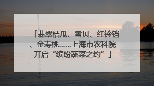 翡翠桔瓜、雪贝、红铃铛、金寿桃……上海市农科院开启“缤纷蔬菜之约”