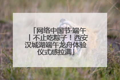 网络中国节·端午丨不止吃粽子！西安汉城湖端午龙舟体验仪式感拉满