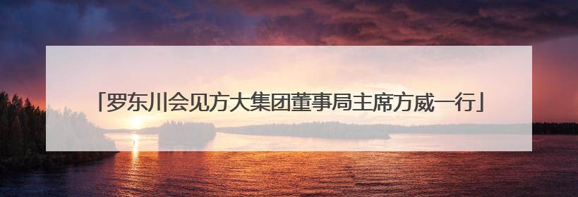 罗东川会见方大集团董事局主席方威一行