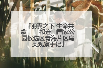 羽翼之下 生命共歌——祁连山国家公园候选区青海片区鸟类观察手记