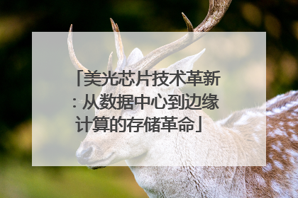 美光芯片技术革新：从数据中心到边缘计算的存储革命