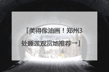 美得像油画！郑州3处睡莲观赏地推荐→