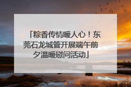 粽香传情暖人心！东莞石龙城管开展端午前夕温暖慰问活动